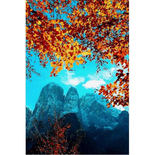 Camere Nordest Sudest- Conca Agordina