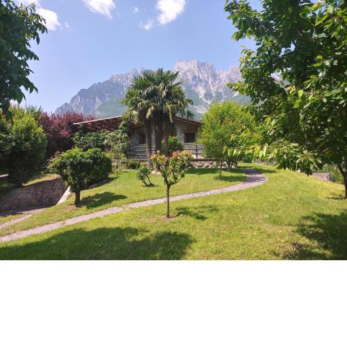 Camotta