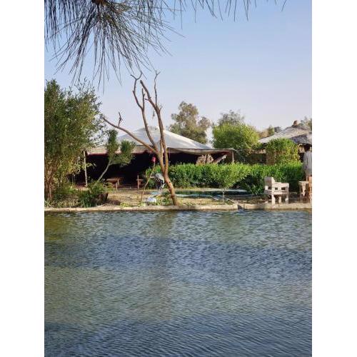 Camp Khaled Siwa