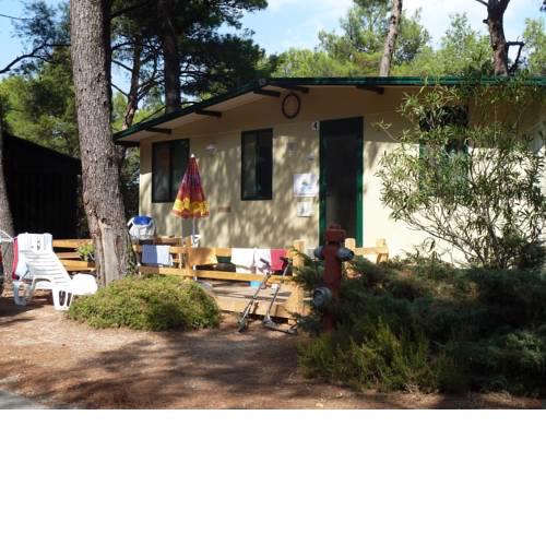 Camp Pine and Sea - Camping Indije