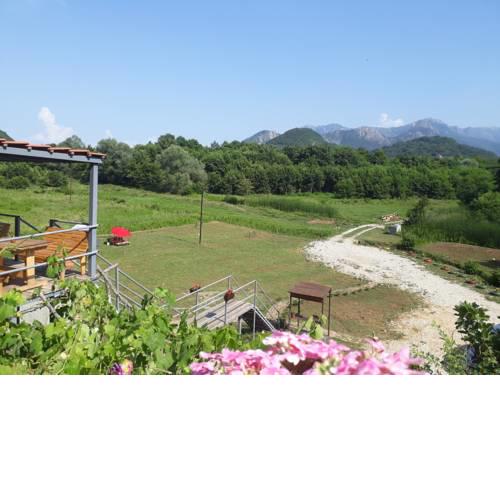 Camp Sunny Hills