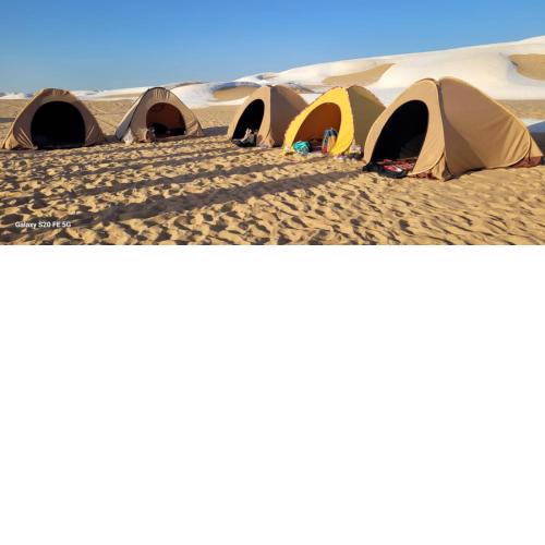 Camp White Desert