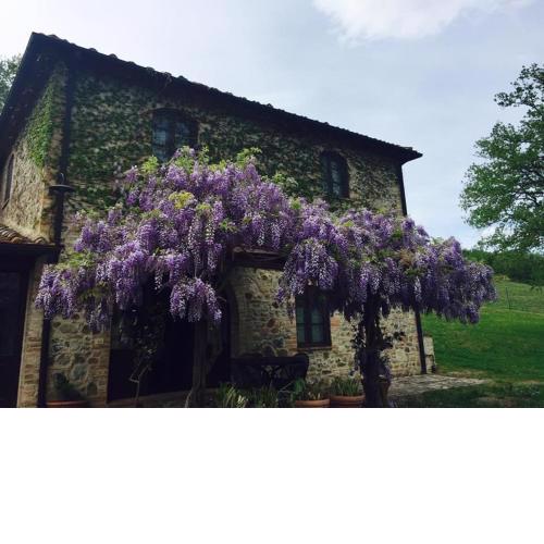 Campagna House