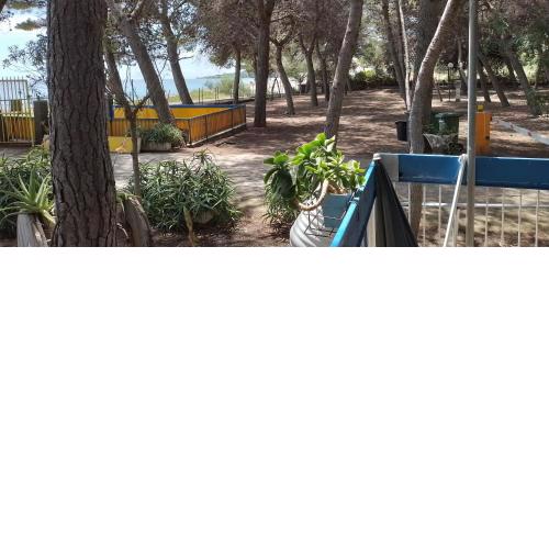 Camping columbia