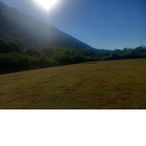 Camping Gjelaj