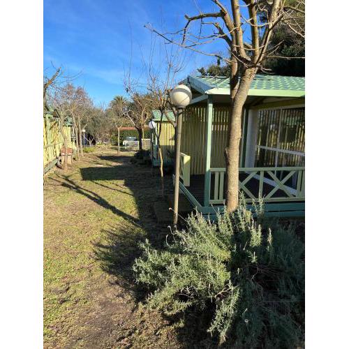 Camping Lido Riccio