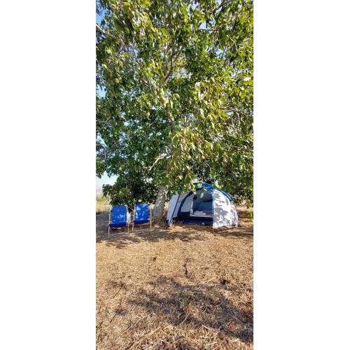 Camping Paradiso