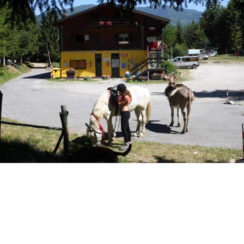 Camping Yoghi e Bubu