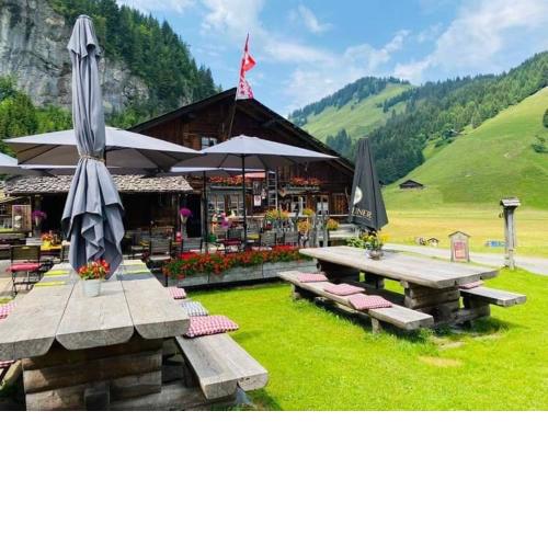 Cantine des dents blanche