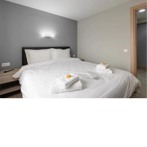 Caravanserai Suite