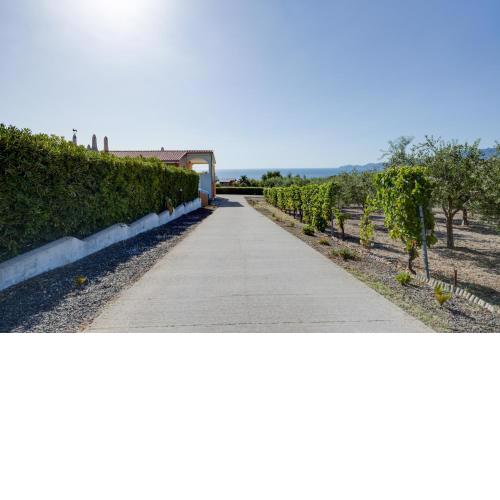 Carezza di Sole