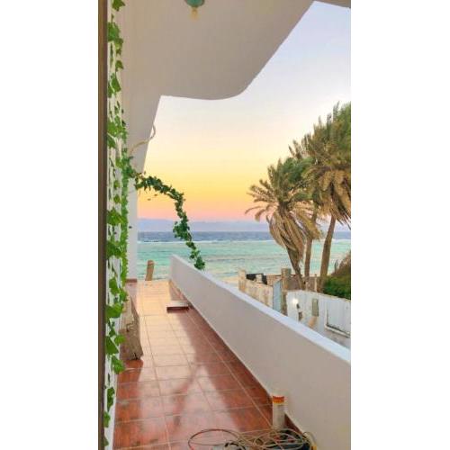 Caribbean house 2