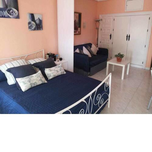 Carihuela Palace Studio 204
