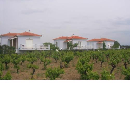 Carpe Diem Villas and Houses