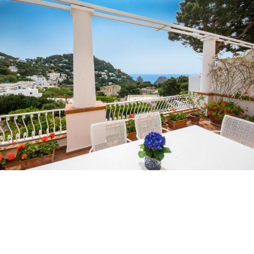 Carthusia Suites