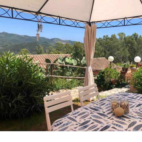Casa 3 pesciolini