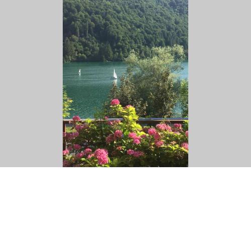 Casa a schiera fronte lago con giardino