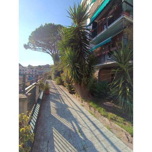 CASA ADA - Portofino Coast