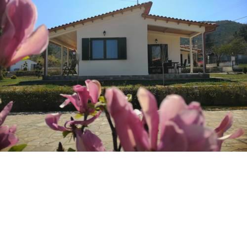 Casa Alegria