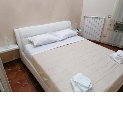 CaSa AMELIA