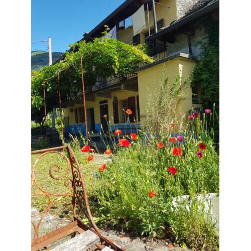 Casa Amstutz Vini