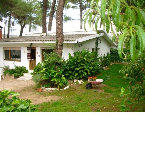 CASA AVENTURA II