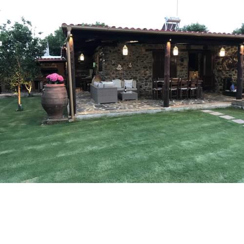 Casa Avocado