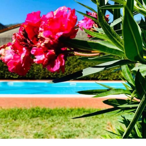 Casa BelMoro con piscina