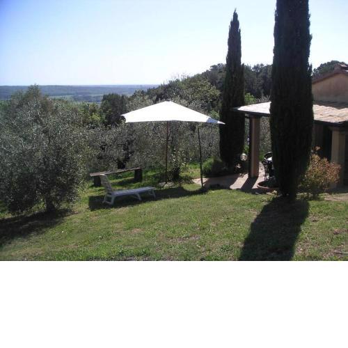 Casa Belvedere -tranquillità tra bosco e ulivi-