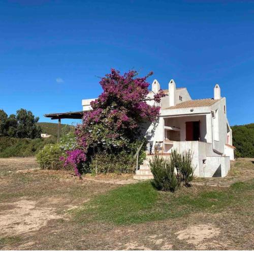 Casa Bianchi - Villa immersa nel verde