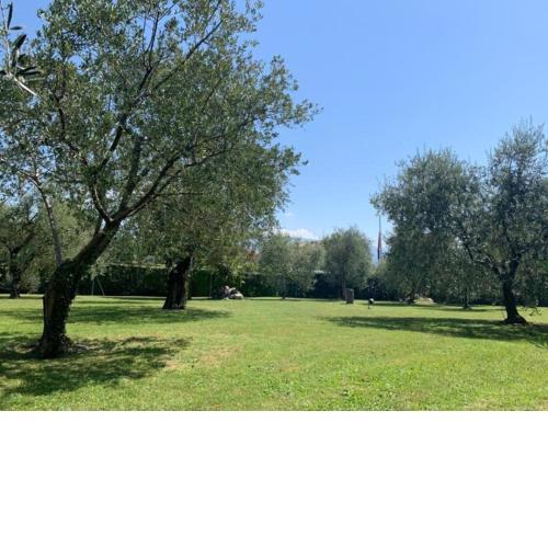 Casa Biancoliva