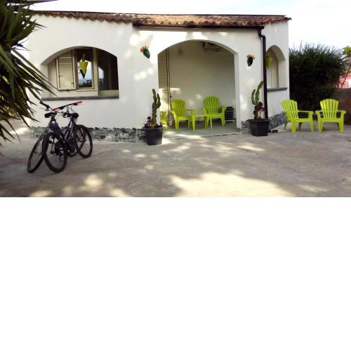CASA CACTUS T&C