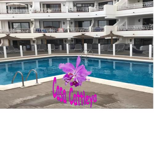 Casa Cattleya