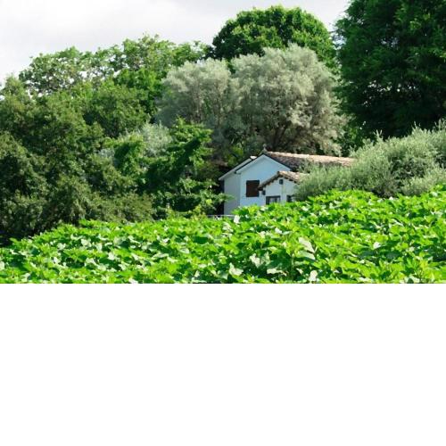 Casa Civetta