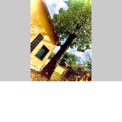 Casa con encanto A Capilla