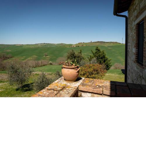 Casa Crete Senesi Appartamento MIRTILLO nel Podere di Sant’Antonio
