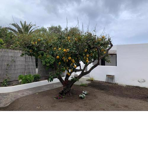 Casa Cristian Stromboli