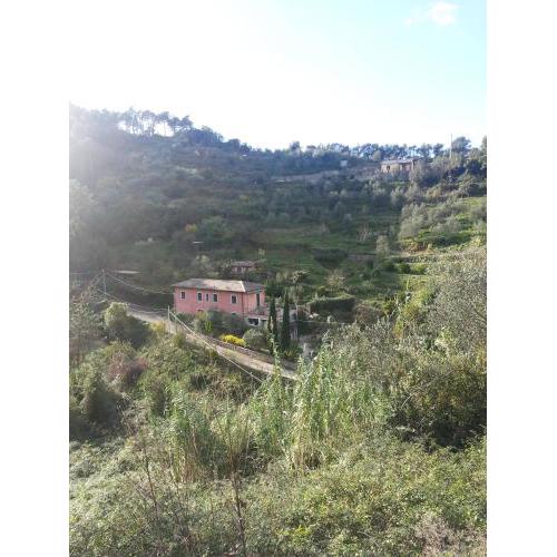 Casa Daniela