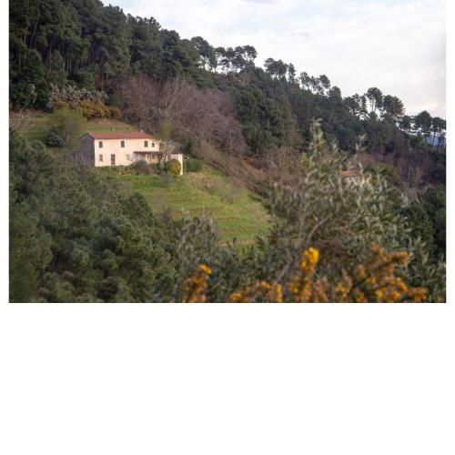 Casa Davide With Pool
