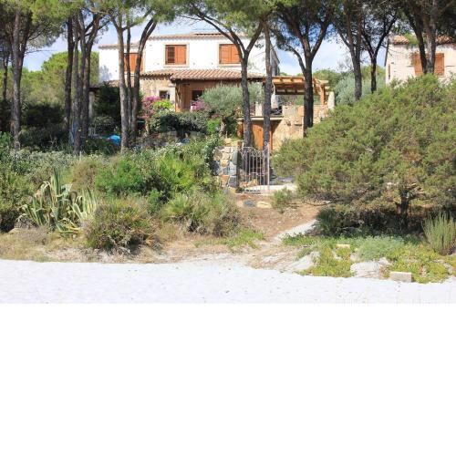 Casa Degli Ulivi