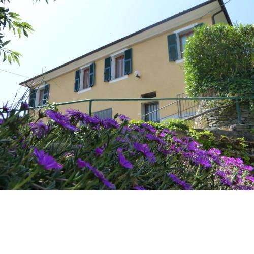 Casa dei Fiori