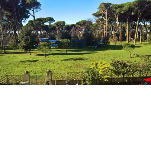 Casa della pineta