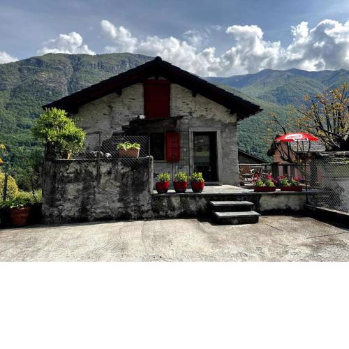 CASA DELLA ROSA