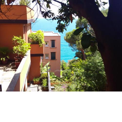 Casa delle mimose