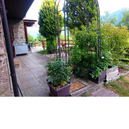 Casa delle Rose