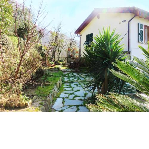 casa di arya CODICE CITRA LT-0043