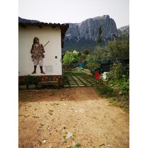casa di campagna in ecosistema insetti e animaletti simpatici in condivisione