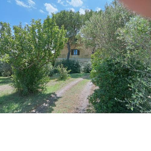Casa di Campagna Montelupone