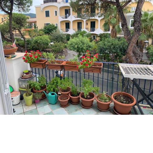 Casa di Sole Ischia