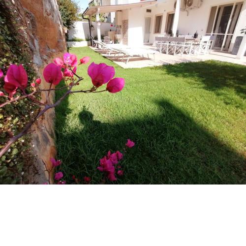 Casa Diamante, a 50mt dal mare